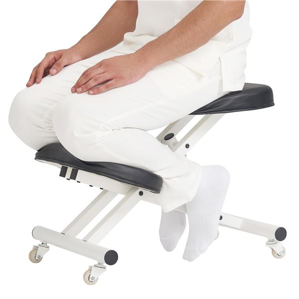 BRAND NEW MASTER MASSAGE ERGONOMIC POSTURE CHAIR