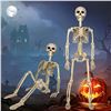 Image 1 : NEW 2 PACK MAIAGO HALLOWEEN SKELETONS