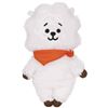 Image 1 : NEW GUND LINE FRIENDS BT21 PLUSH