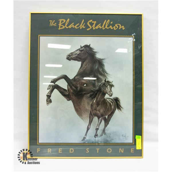 FRED STONE PRINT, BLACK STALLION 28"X22"