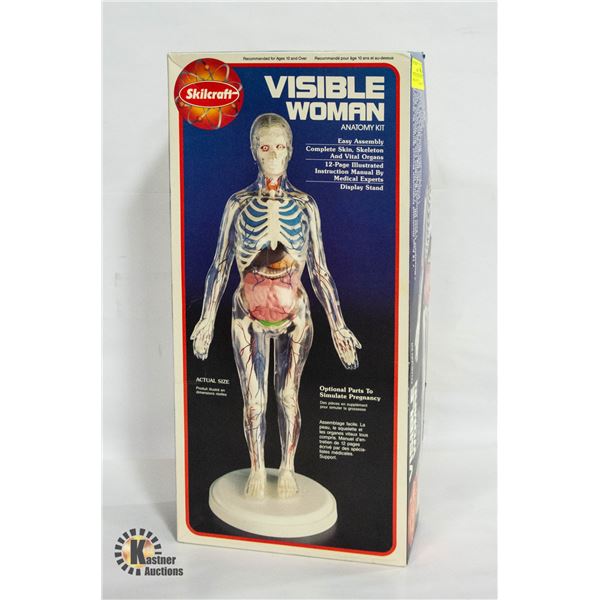 VINTAGE VISIBLE WOMAN ANTOMY MODEL KIT IN BOX