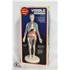 Image 1 : VINTAGE VISIBLE WOMAN ANTOMY MODEL KIT IN BOX