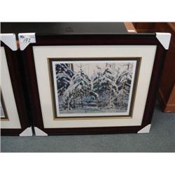 Framed Print " Snow Laden Spruce" By A.j. Casson