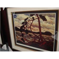 Framed Print  the West Wind  By Tom Thomson