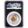 Image 2 : 7.79 Gram Caborca Sonora Mexico Gold Nugget NGC Vaultbox Unvaulted