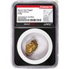 Image 1 : 8.68 Gram Caborca Sonora Mexico Gold Nugget NGC Vaultbox Unvaulted