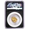 Image 2 : 7.05 Gram Caborca Sonora Mexico Gold Nugget NGC Vaultbox Unvaulted