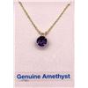Image 1 : 10KT Yellow Gold Natural Amethyst (1.5ct) Pendant With Gold Plated Sterling Silver Chain, W/A $340.0