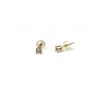 Image 2 : 14KT Yellow Gold Natural White Zircon (0.50ct) Earring, W/A $460.00.