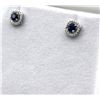 Image 4 : Sterling Silver Natural Blue Sapphire (0.66ct) with Diamonds (0.01ct) Earrings, W/A $600.00. Sapphir