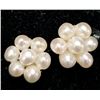 Image 2 : Silver Pearl Stud Earrings, Suggested Retail Value $80