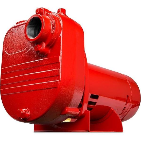 Red Lion RL-S50 115/230 Volt, 1/2 HP, 2940 GPH Self Priming Cast Iron Surface Effluent Pump, Red,