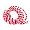 Image 1 : Holiday Living Connectable 18-ft Candy Cane Rope Light - Lot of 2