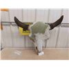 Image 1 : Buffalo Skull 29'' Horn Spread