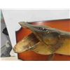 Image 2 : Northern Pike Jackfish 34'' Long Mounted on Pine Board 