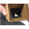 Image 8 : 2 Speaker Vulcanizing Unit Containers 1 with Product , Monkey