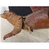 Image 8 : Taxidermy Alligator Approx 18'' Long (Damage to Tails & Limbs, Pictured)