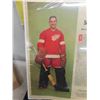 Image 2 : Terry Sawchuk Picture + 1960 Magazine Pages Display 