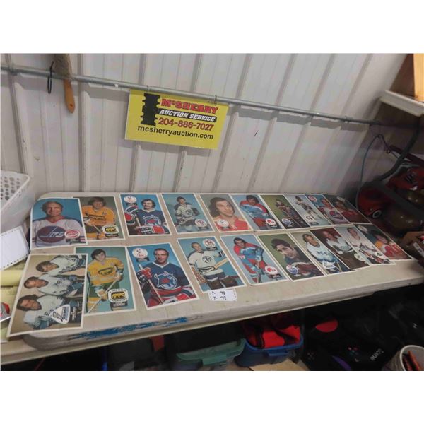 21 Plastic Plates WHA , Howe Family , Bobby Hull, Gordie Howe, Plus