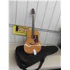 Image 1 : Walden D 520 Acoustic Guitar with Soft Case 