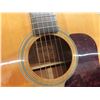Image 4 : Walden D 520 Acoustic Guitar with Soft Case 