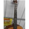 Image 8 : Walden D 520 Acoustic Guitar with Soft Case 