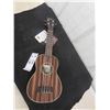 Image 2 : New Kala Ukelele Model KA EBY S with Hard 