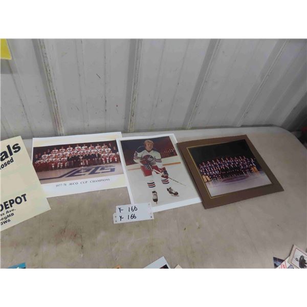 3 Winnipeg Jets Photos : Bobby Hull, 1977/78 