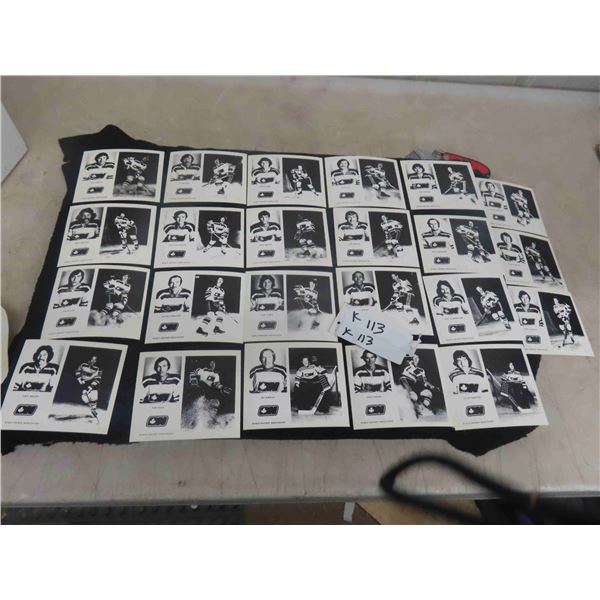 23 World Hockey Association Photos/Cards