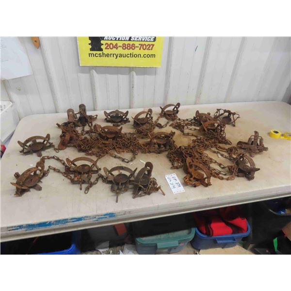 19 Victor 1 1/2 Coil Spring Traps 