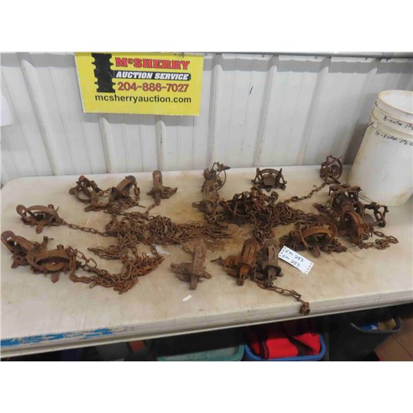 18 Victor Coil Spring Trap (8) 1 3/4 