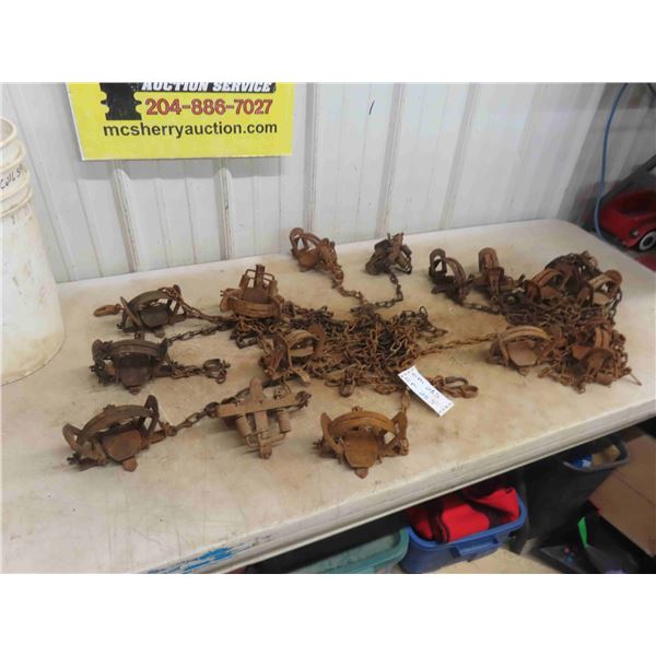 16 Victor 1 3/4 Coil Spring Leg Hold 