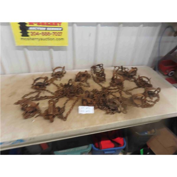 16 Victor 1 3/4 Coil Spring Traps 