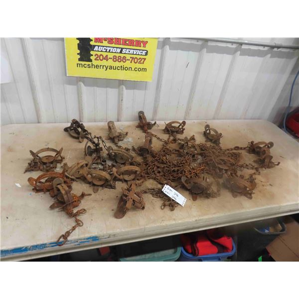 21 Victor 1 1/2 Coil Spring 