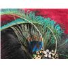 Image 14 : Decorative Head Band with Peacock Feathers , Gold 