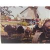 Image 3 : Framed Photo of Steam Engine Tractor 25'' x 29'' 