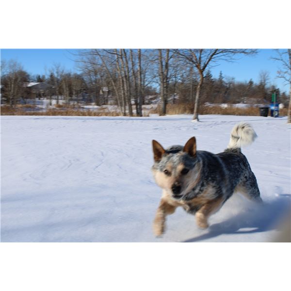 There's Still More Coming!