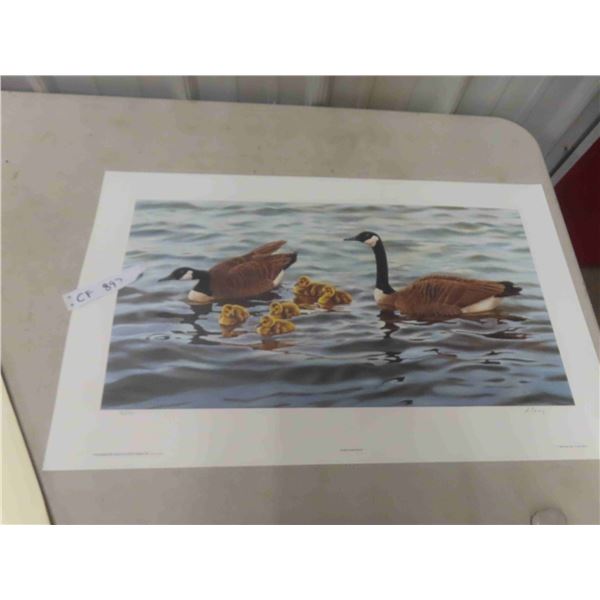 Limited Edition Print Signed A Casey 16 1/2'' x 27'' 