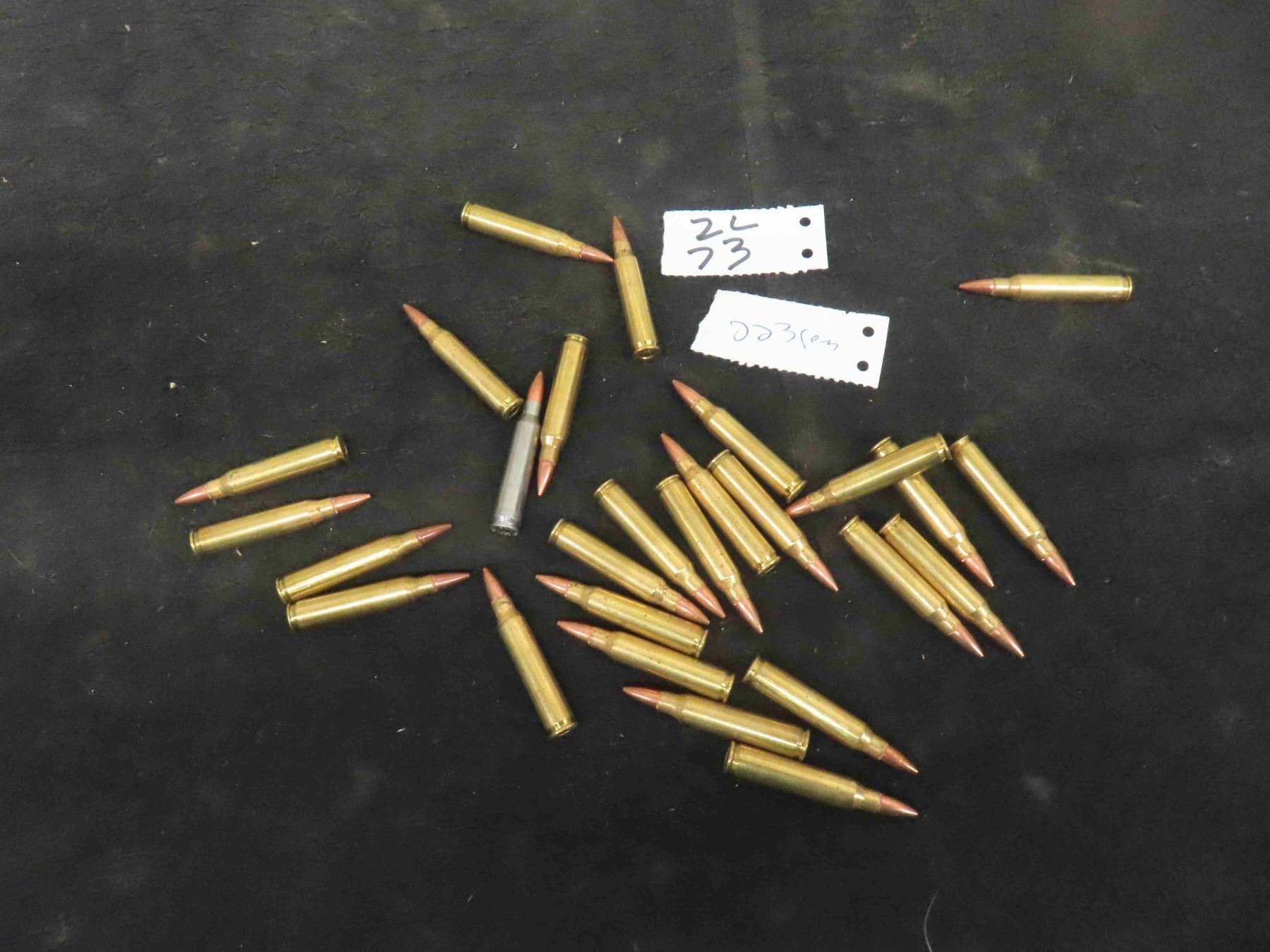 Proofing Rounds Bullet (27 Rounds) 223 Rem Ammo ** MUST PROVIDE PROOF OF