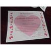 Image 8 : American Girl Doll 19'' with Certificate, Box 'Doll Hospital' 