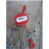 Image 2 : Palan Rodac Chain Hoist 1000kg (2200lbs) Lift Height 2.5m