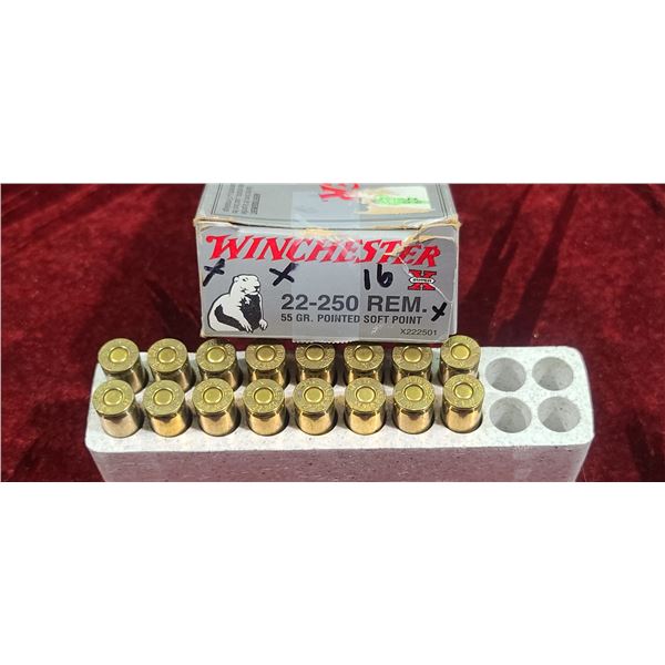 16 WINCHESTER 22-250 REM 50GR PSP