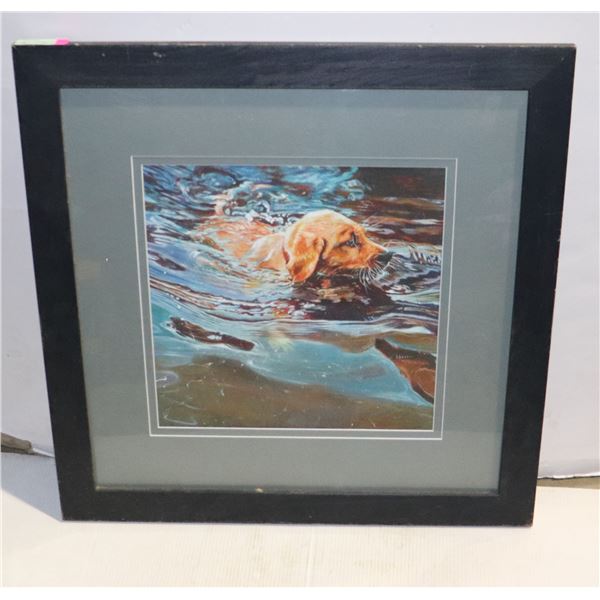 DUCKS UNLIMITED OAKLEYS FIRST SWIM