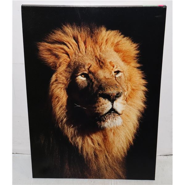 FRAMED CANVAS PRINT OF LION