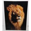 Image 1 : FRAMED CANVAS PRINT OF LION