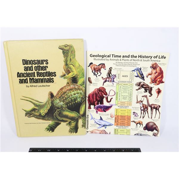 HISTORY OF LIFE TEACHING CHART, SOLD WITH