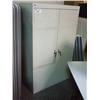 Image 1 : Grey 5 Foot Storage / Stationary Cabinet