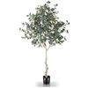 Image 1 : 1 Lyerse 6FT Tall Artificial Eucalyptus Tree in Nursery Pot for Home Decor - Brand New in Box!
