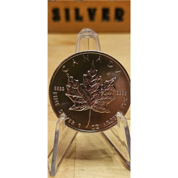 Lot 31-1) 1 oz Canadian Maple Leaf 2013 Silver Round