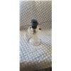 Image 1 : clear glass Aladdin lamp w/ shade holder (no chimney)